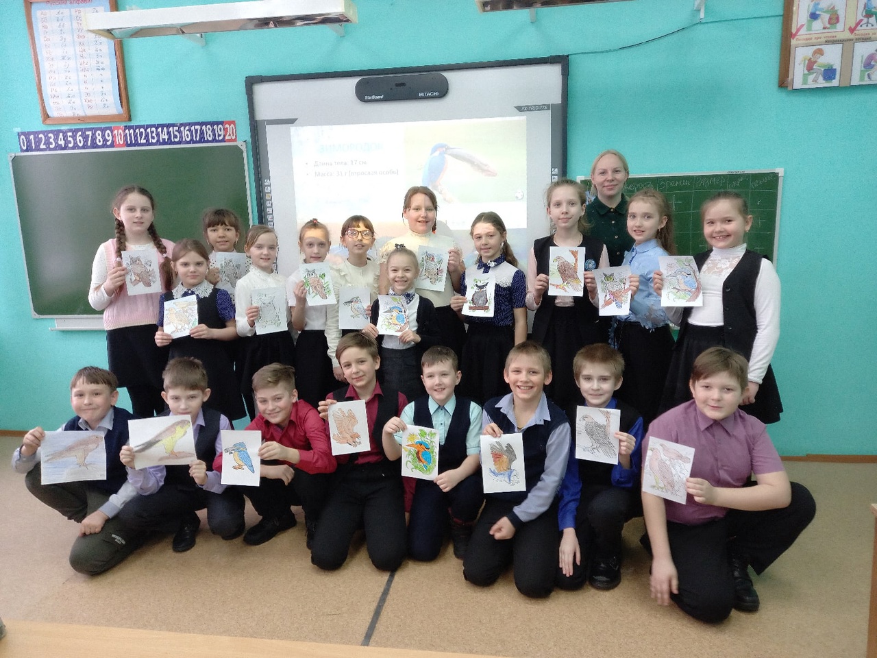 Лучшая птица