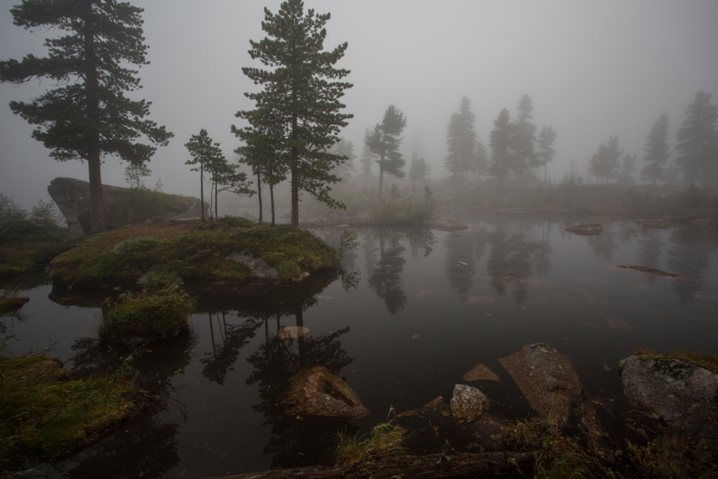 Туманное утро на озере Художников