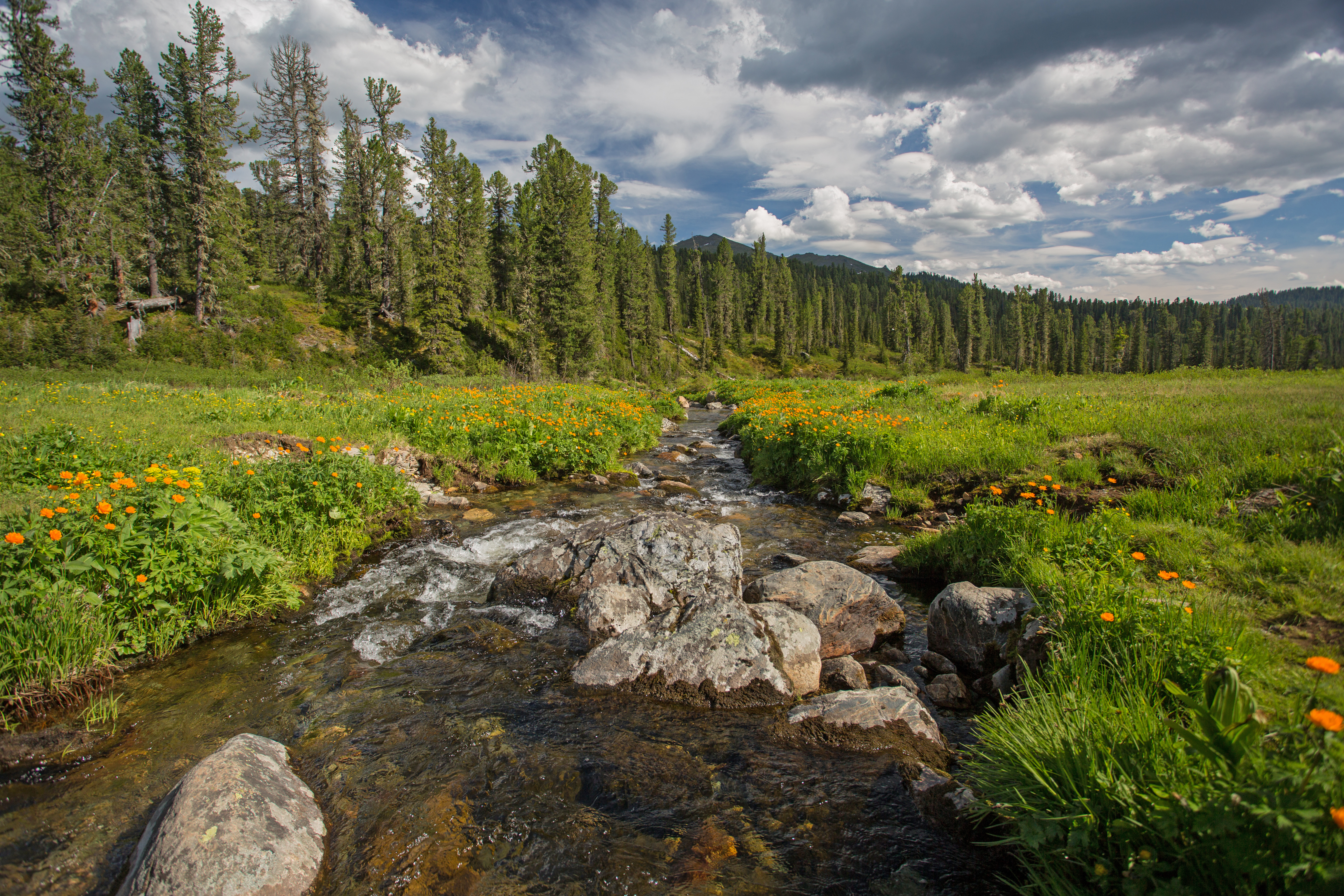 О проведении общественных обсуждений