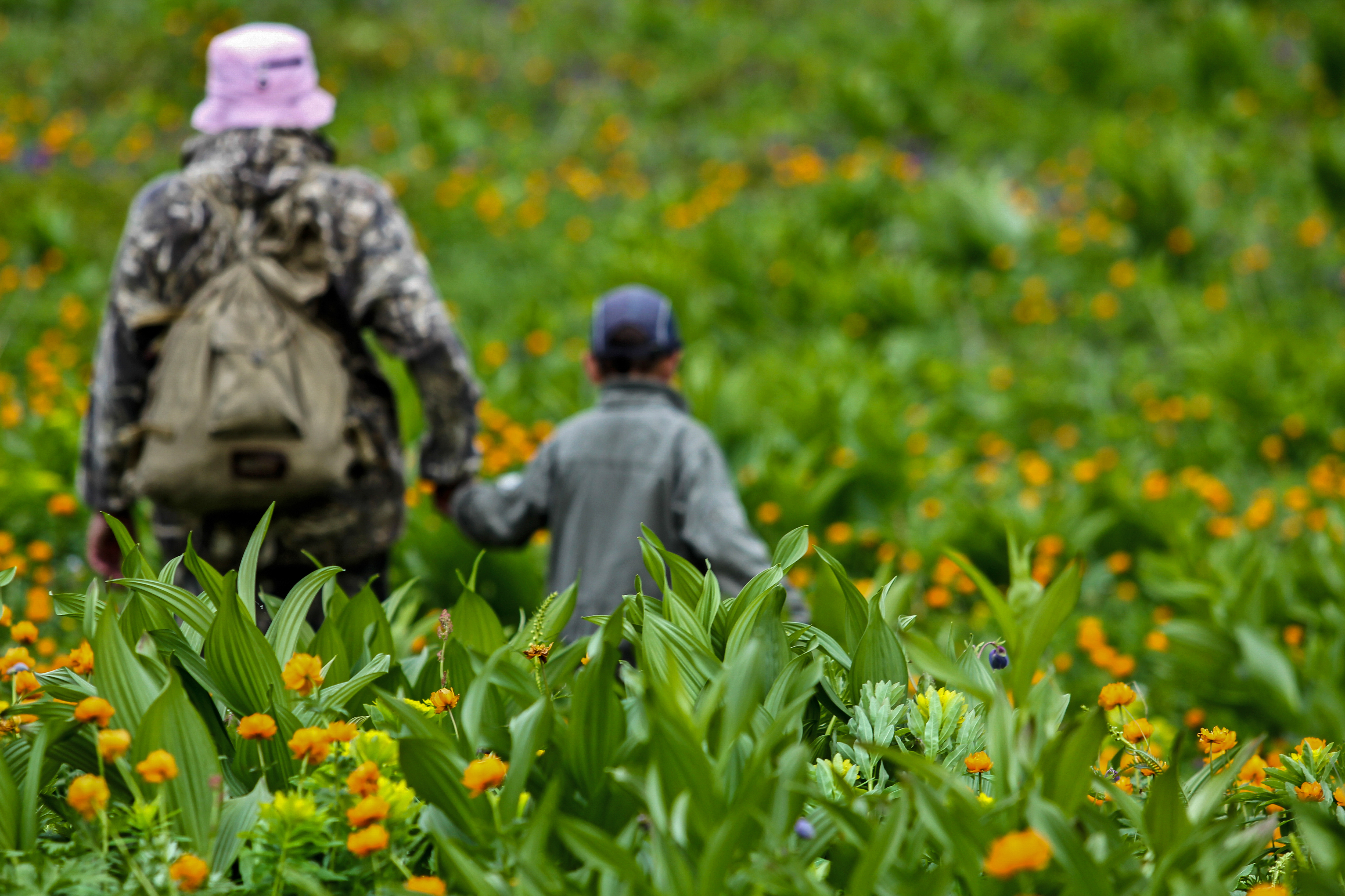 Обязательная регистрация в МЧС