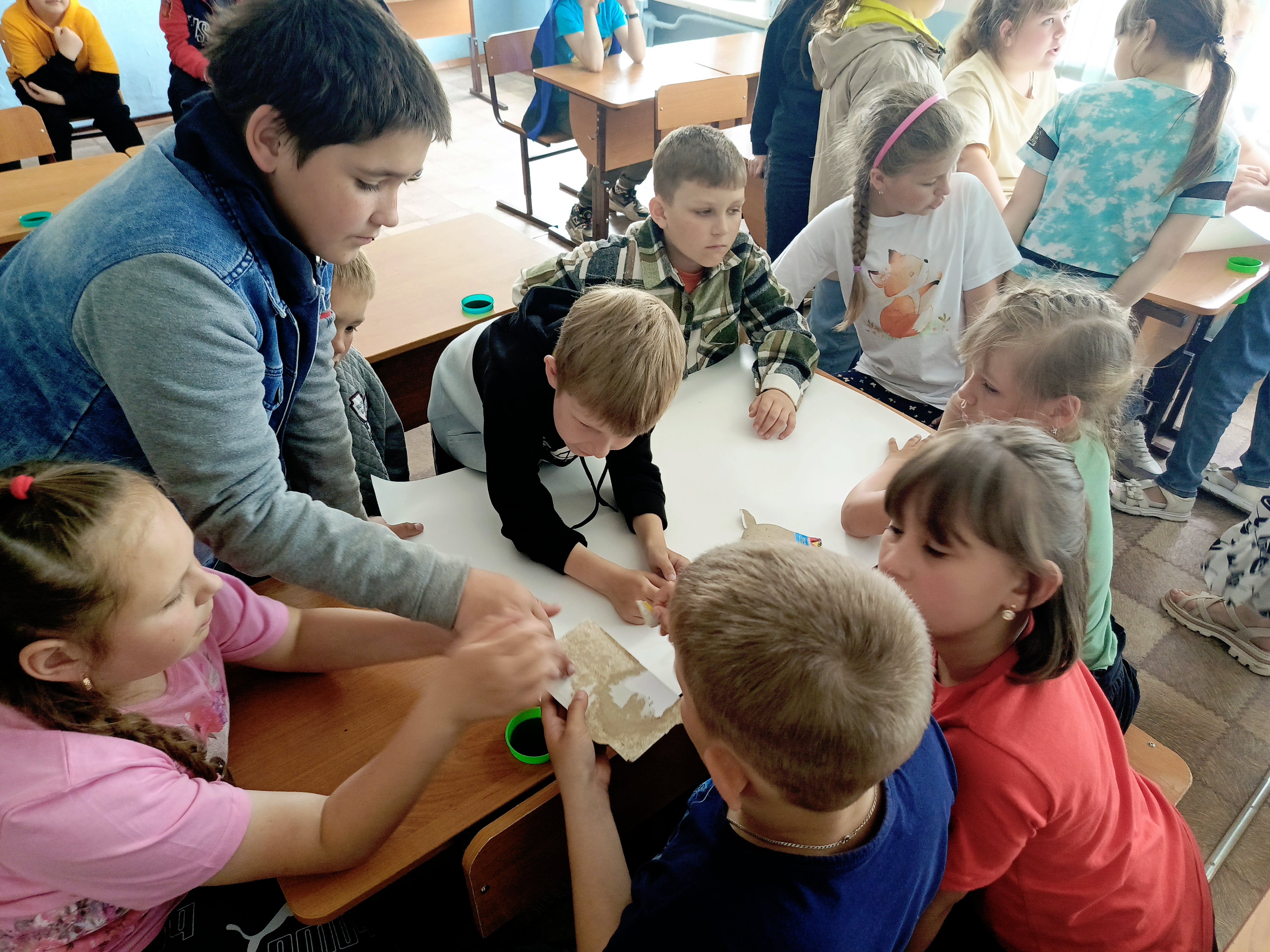 Живой ковёр – растения