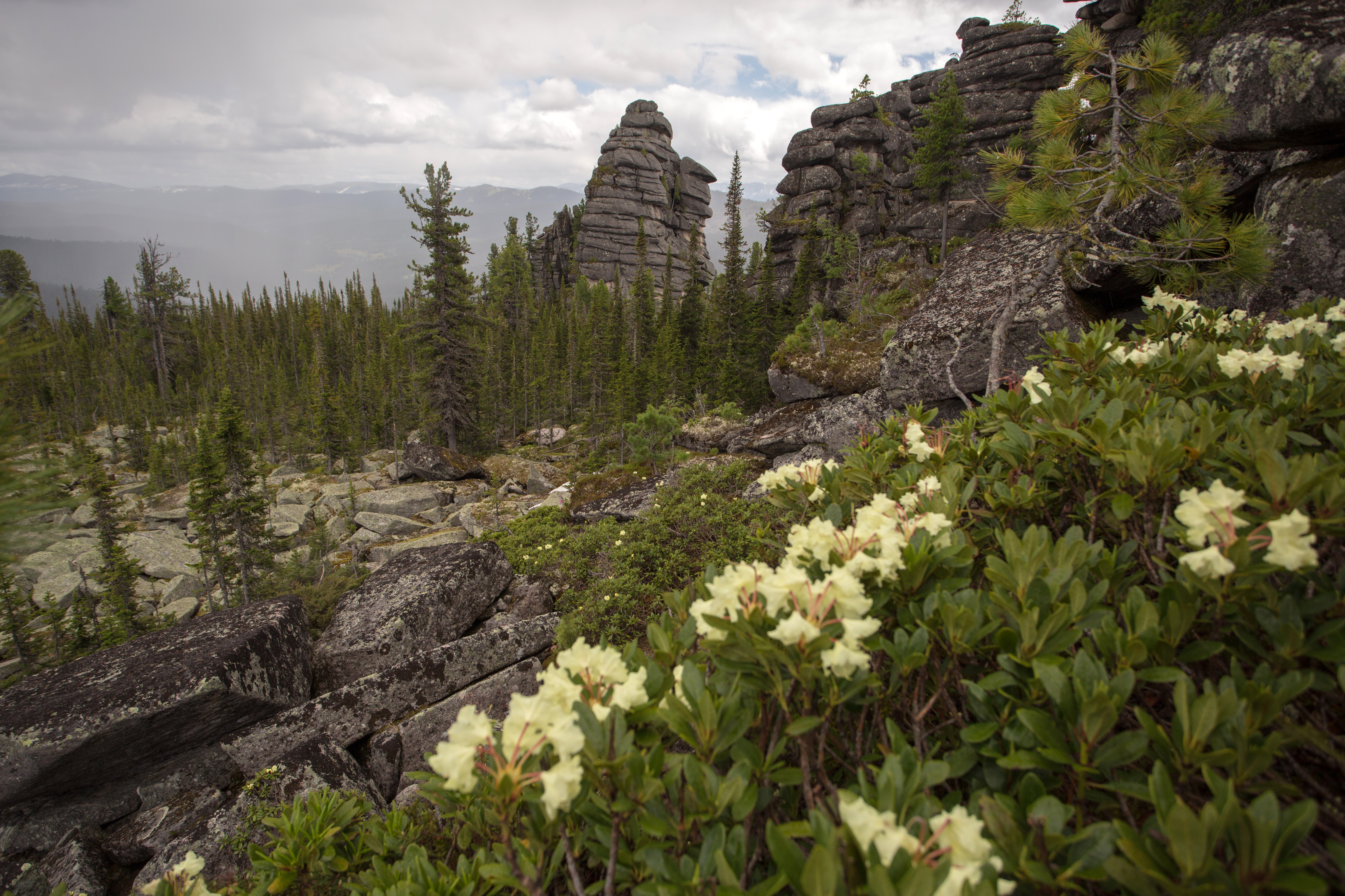 Социально-экономические последствия освоения природного парка Ергаки