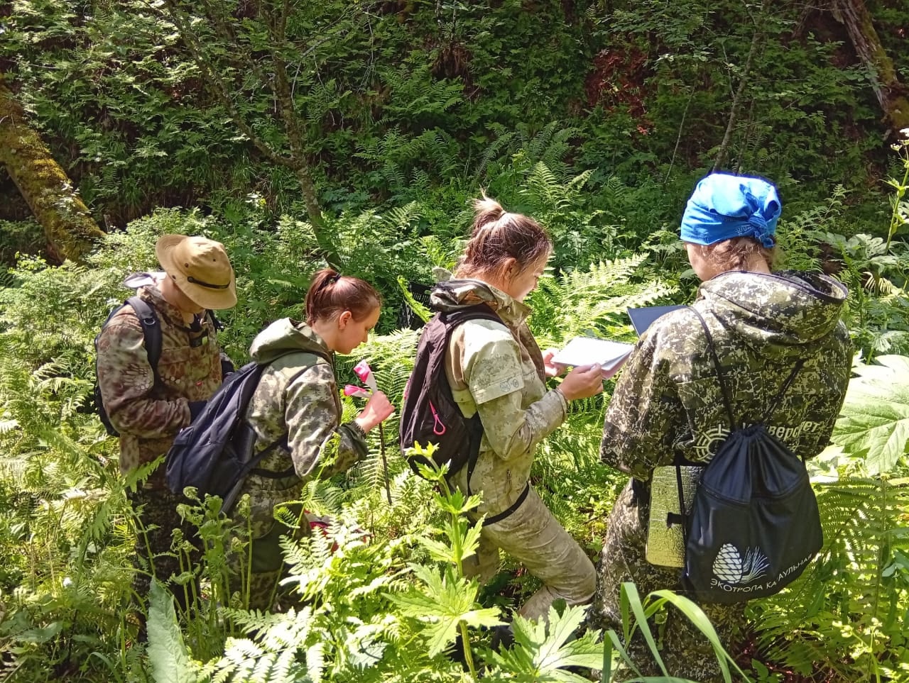 Пересадка краснокнижных растений