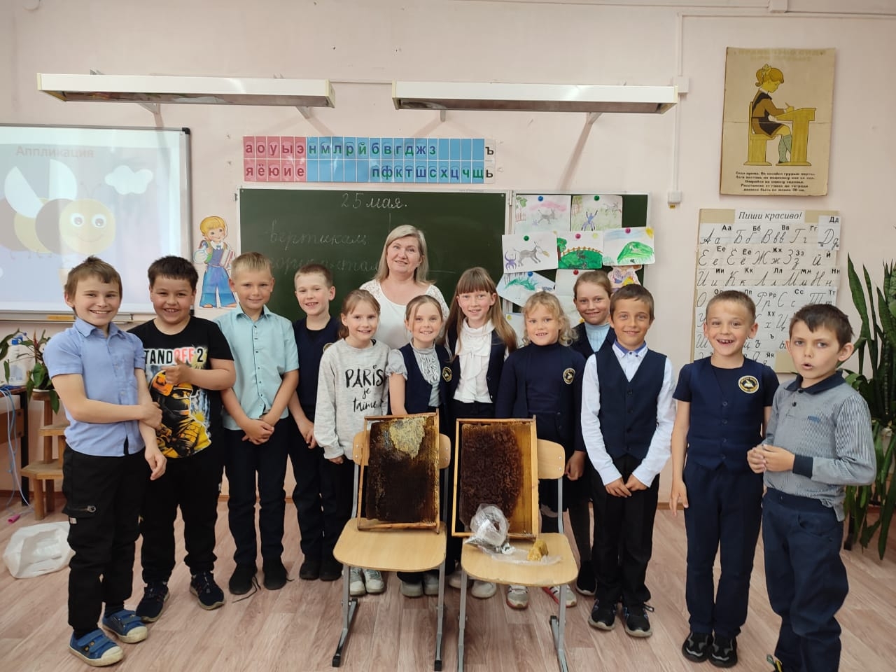 В гостях у пчёлки