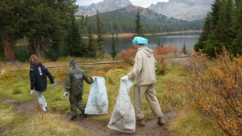 Неоценимая помощь