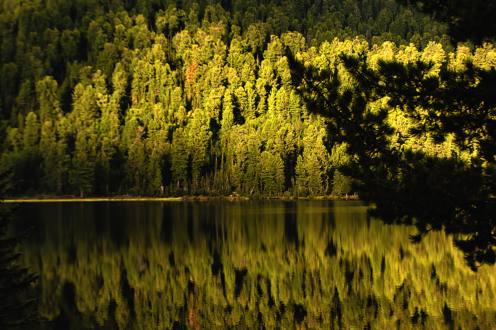 Оценка удовлетворенности доступностью