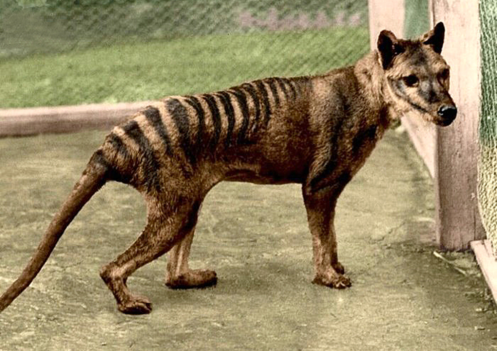 Чёрная книга: кошмар наяву