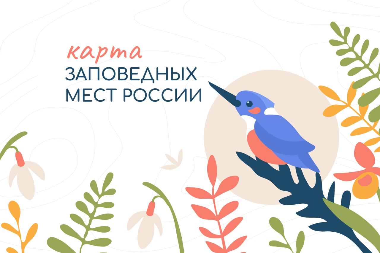 Просветительский проект Банка России