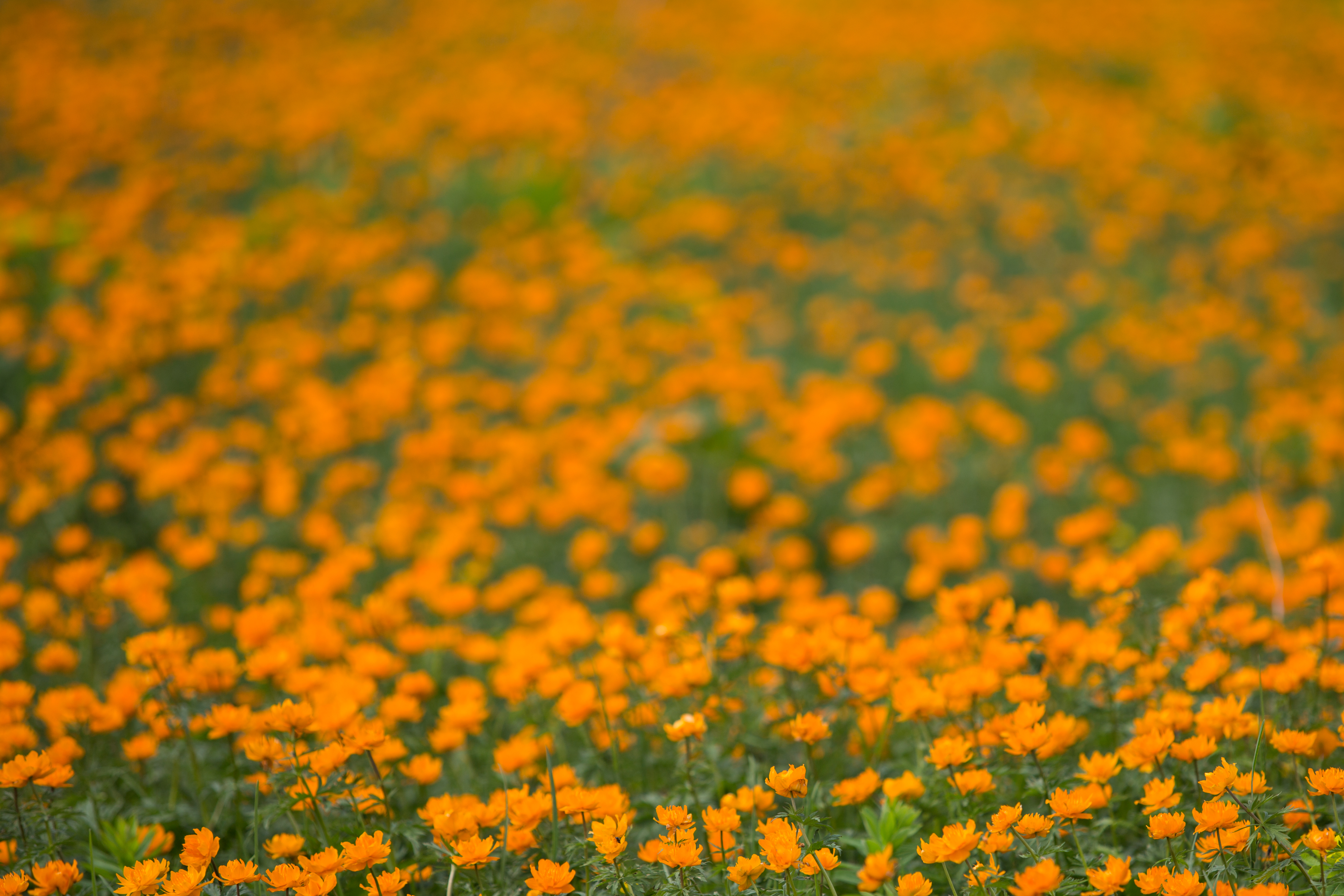 Летний сезон начинается