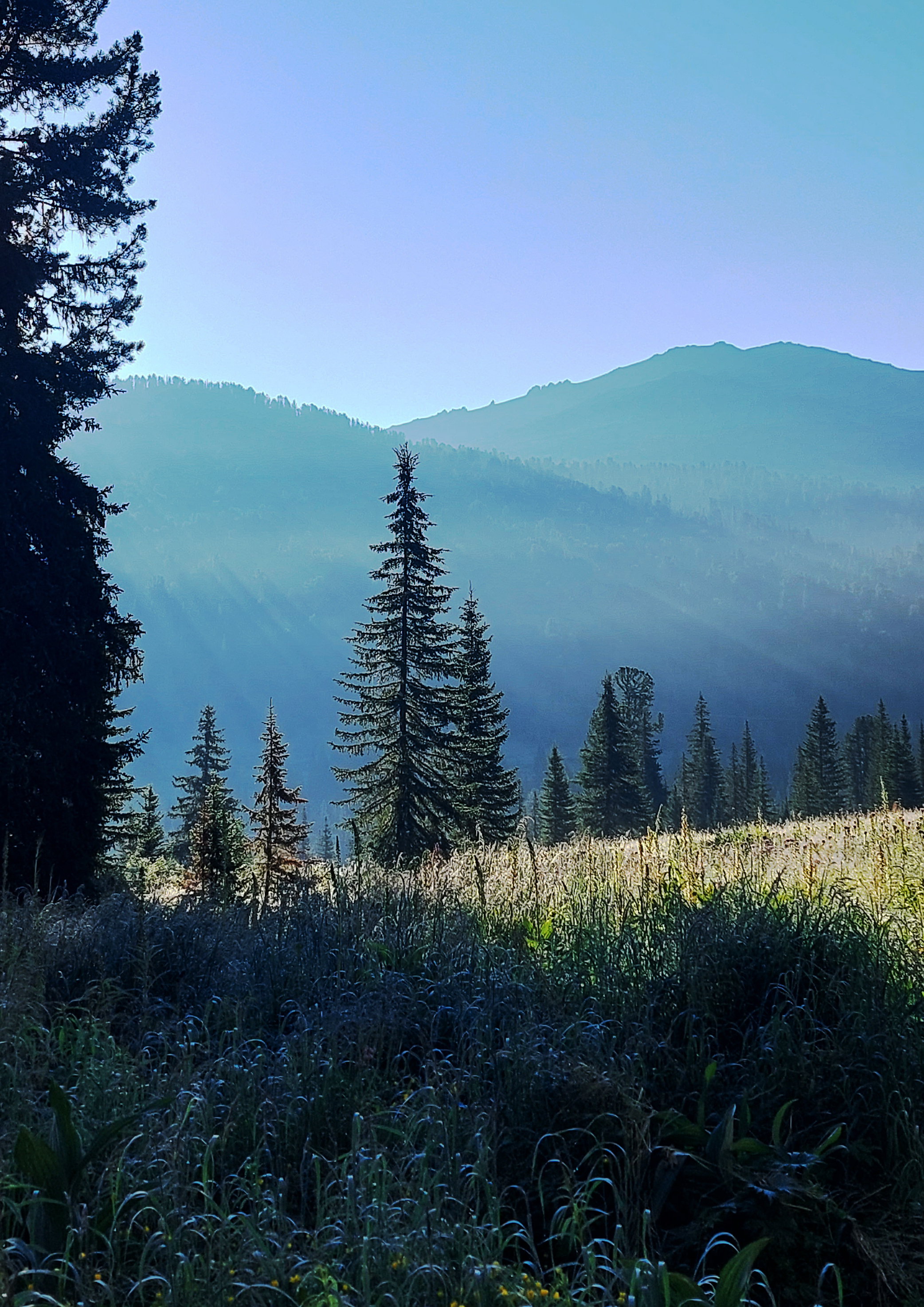 Подведены итоги фотоконкурса «Ергаки – любовь моя!»