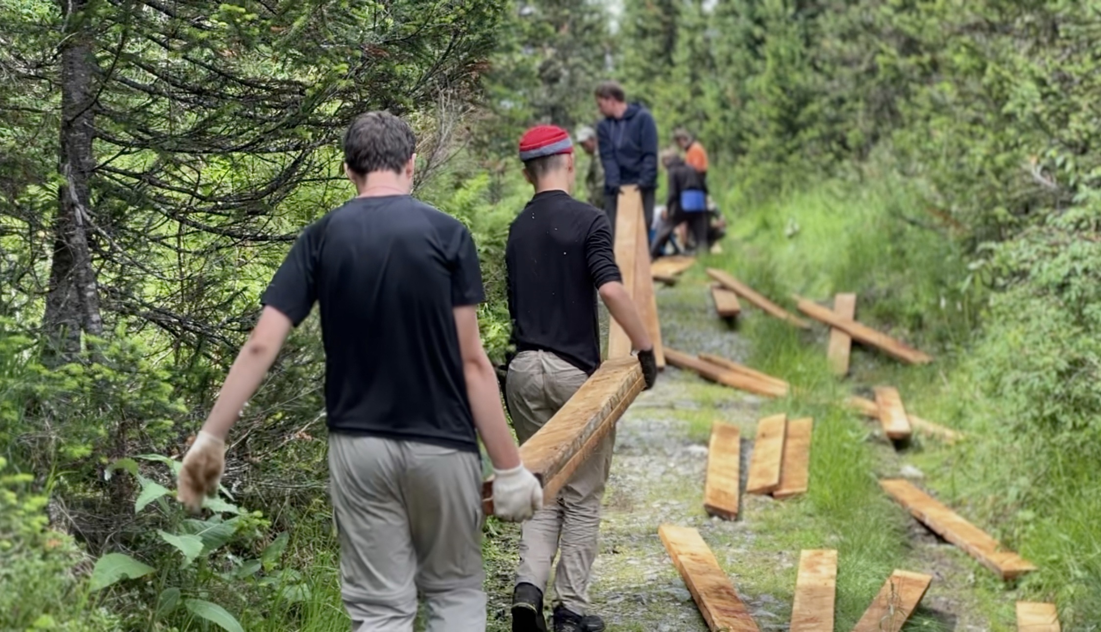 «Ветер перемен» продолжает дуть в нужном направлении