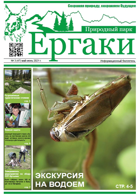 На сайте размещен новый выпуск информационного бюллетеня май-июнь 2021 года