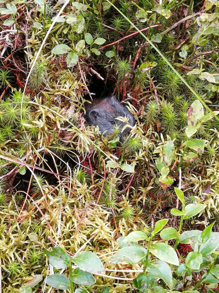 «4 сезона в «Ергаках»