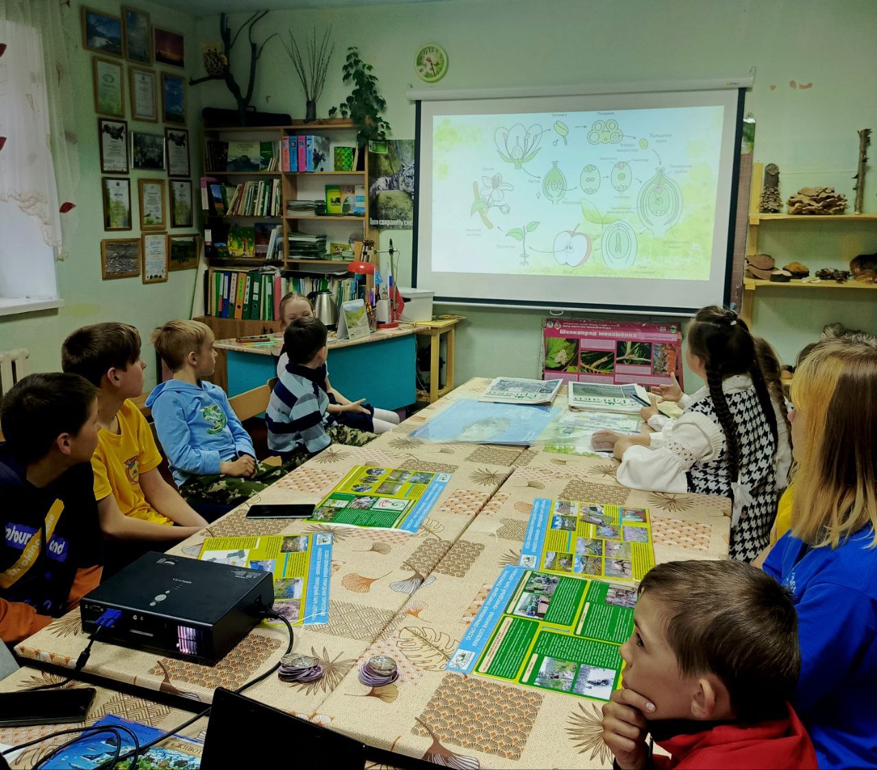 Спутники весны – первоцветы