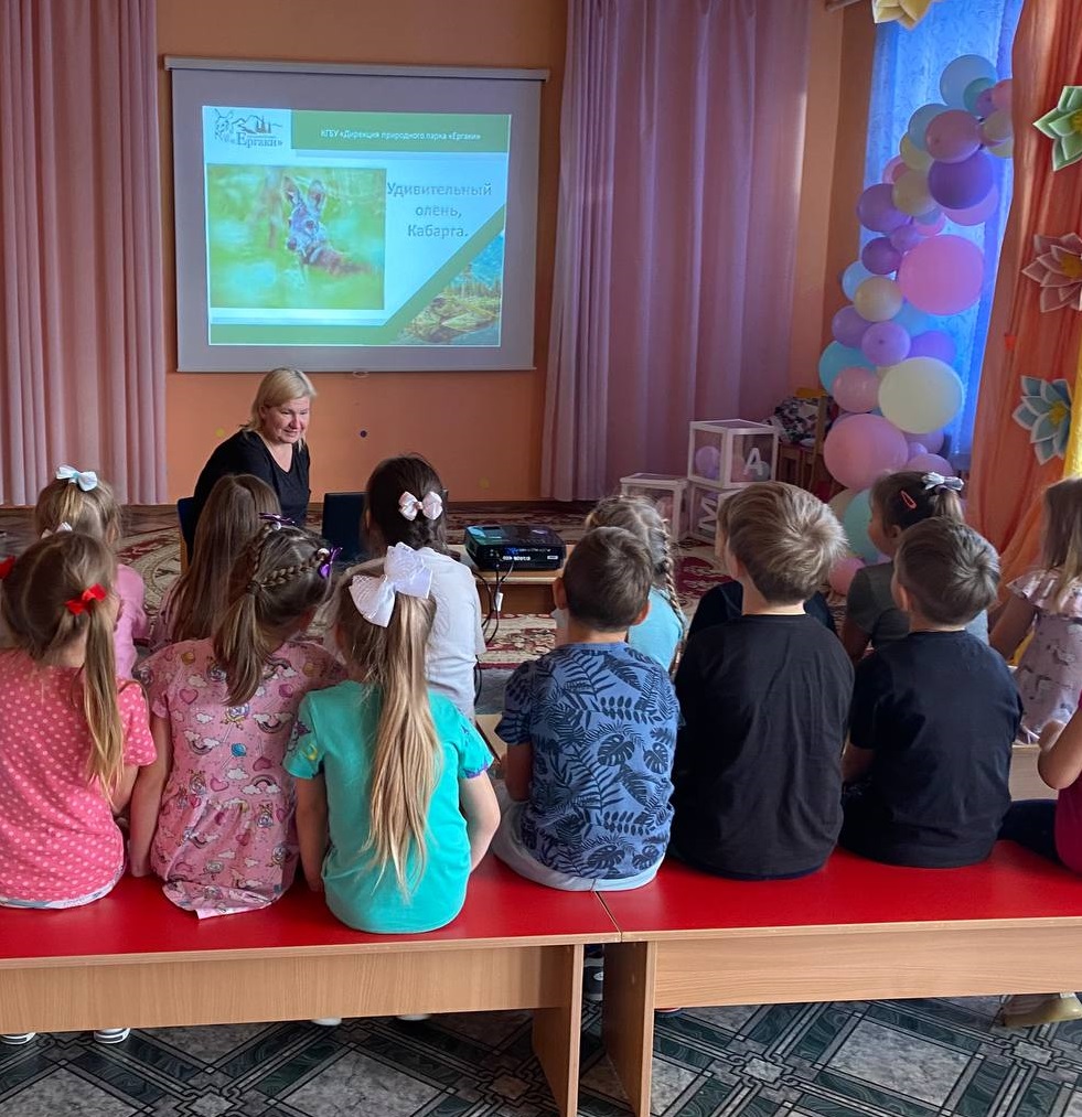 Удивительный олень - кабарга