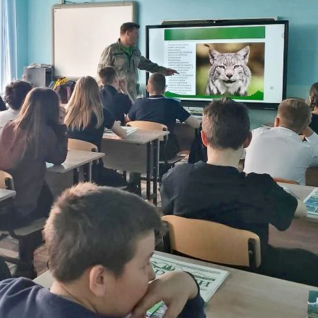 Что за кошка эта рысь?!