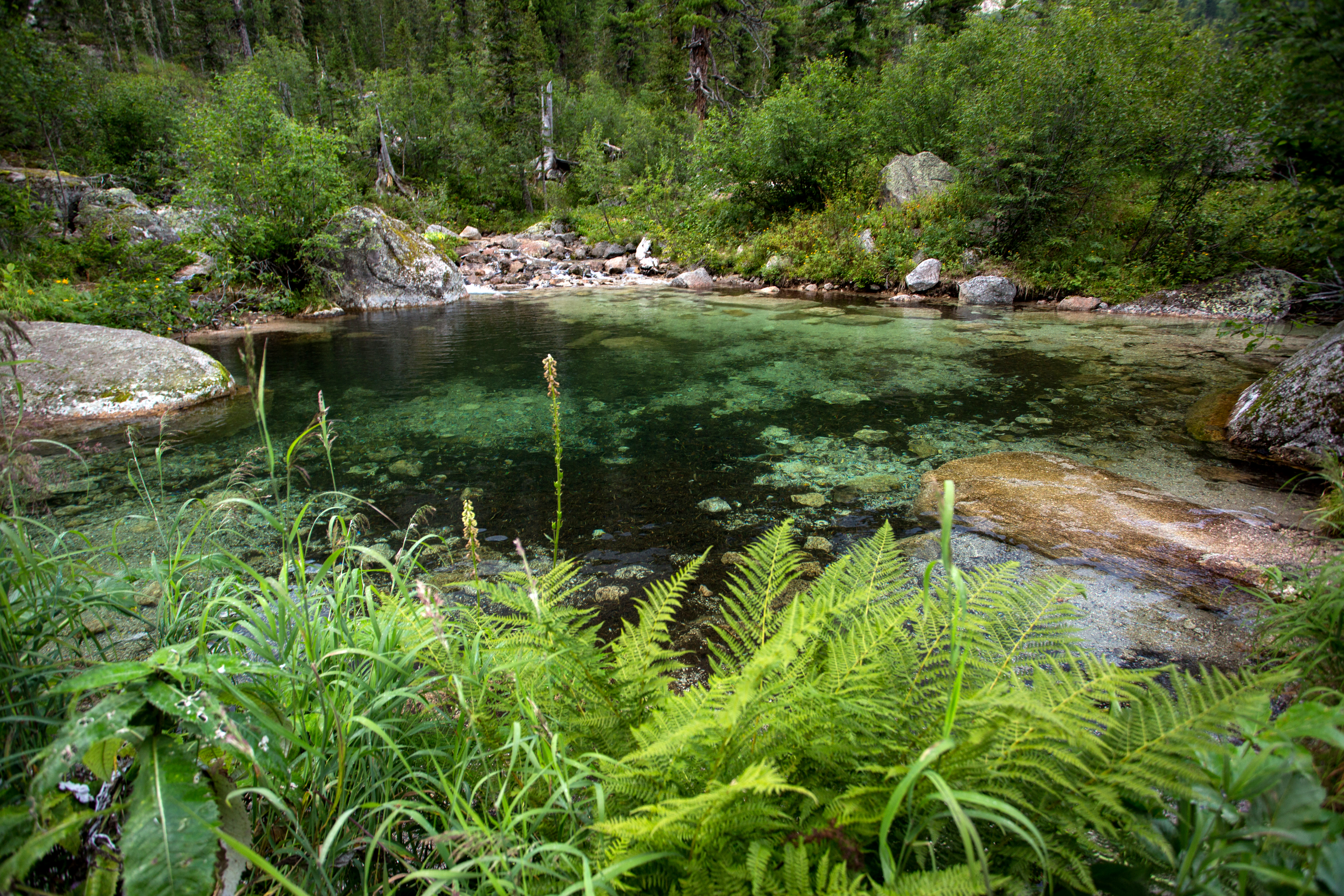 Экологическое воспитание посредством экологического туризма