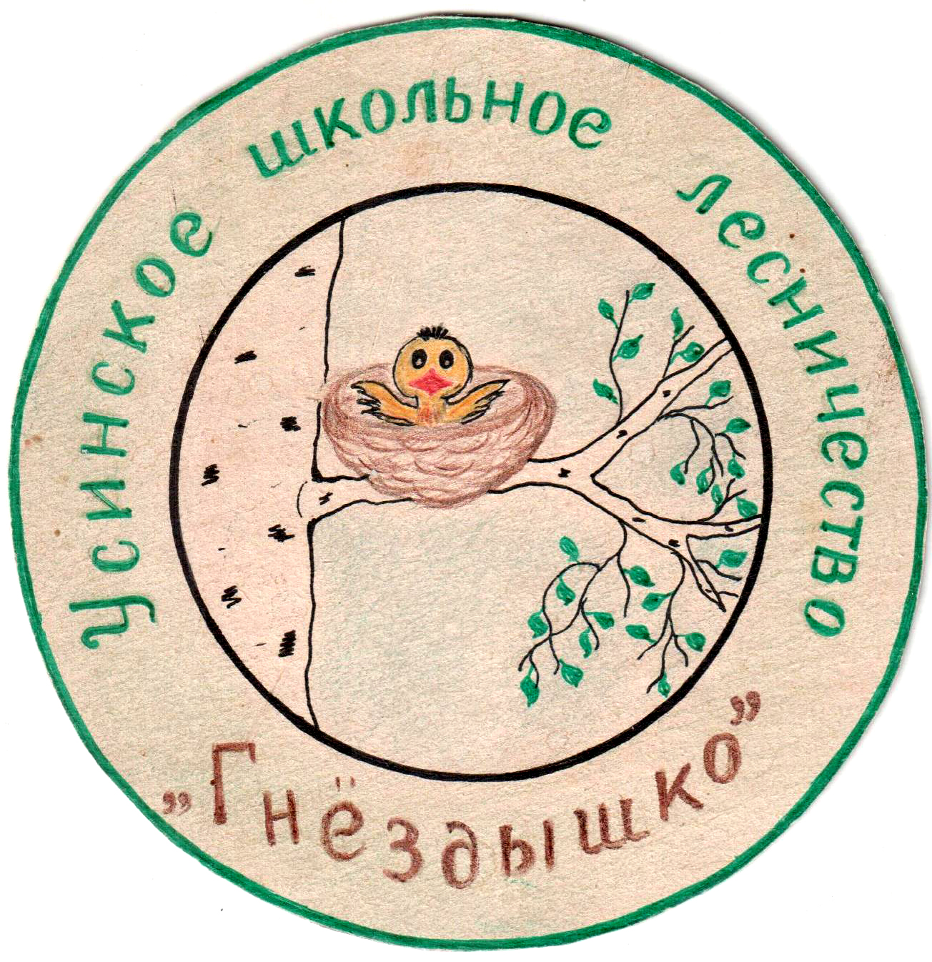 Родное «Гнёздышко»