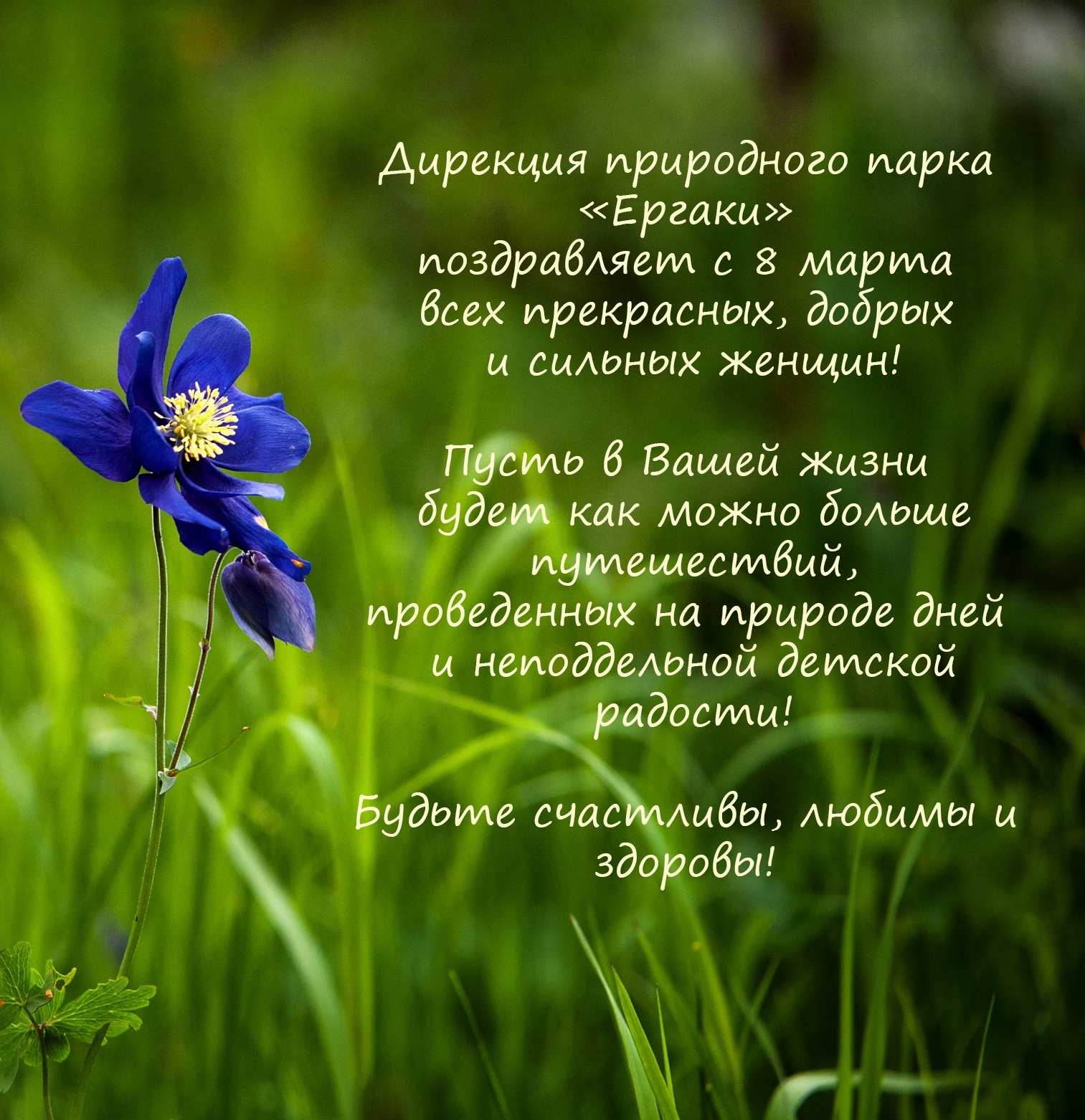 С международным женским днём!