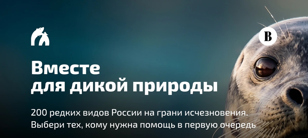 Дорогие друзья!