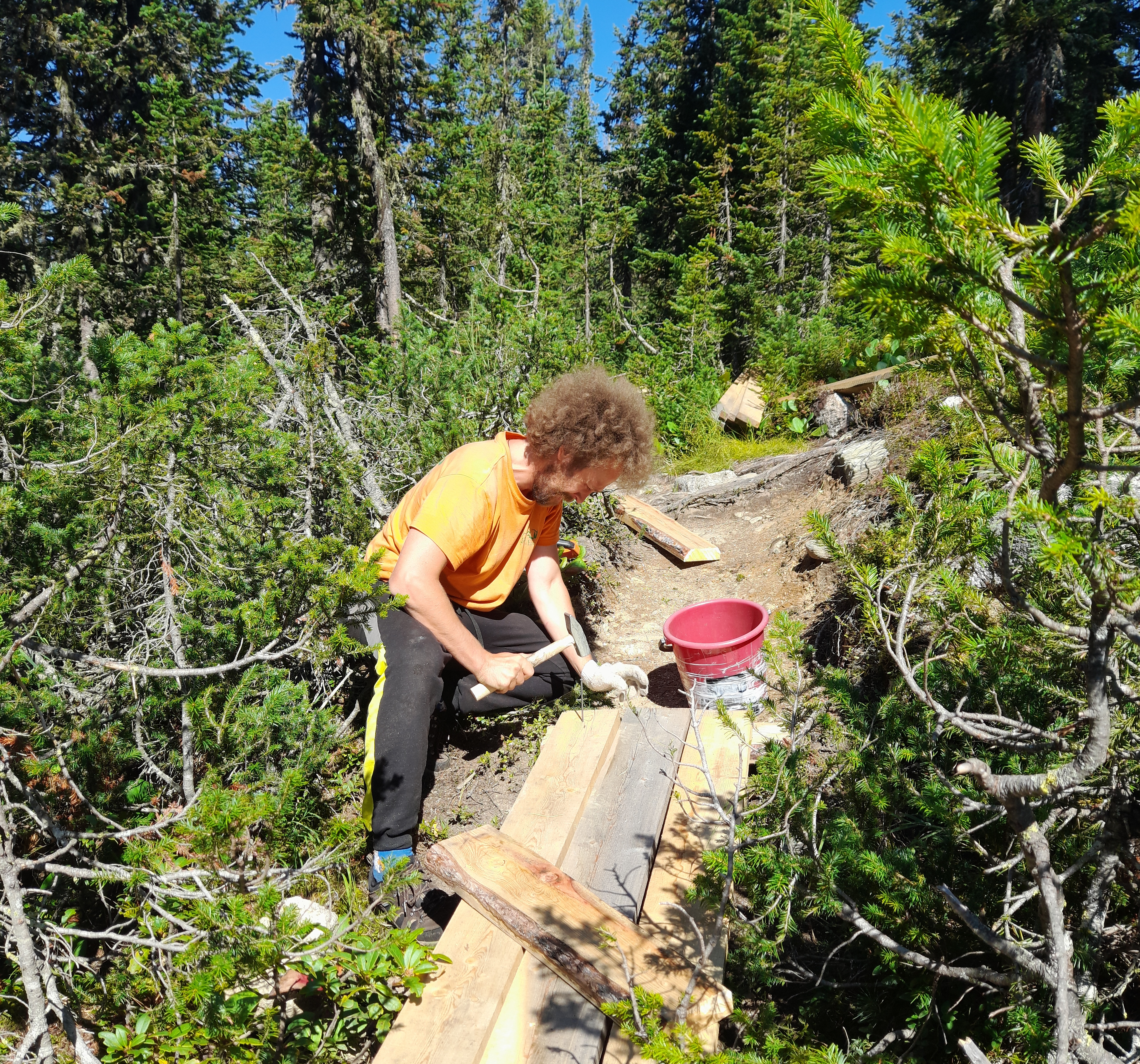 Волонтерский вклад в большое дело