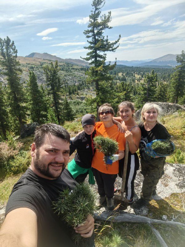 Кедры на Каровом!