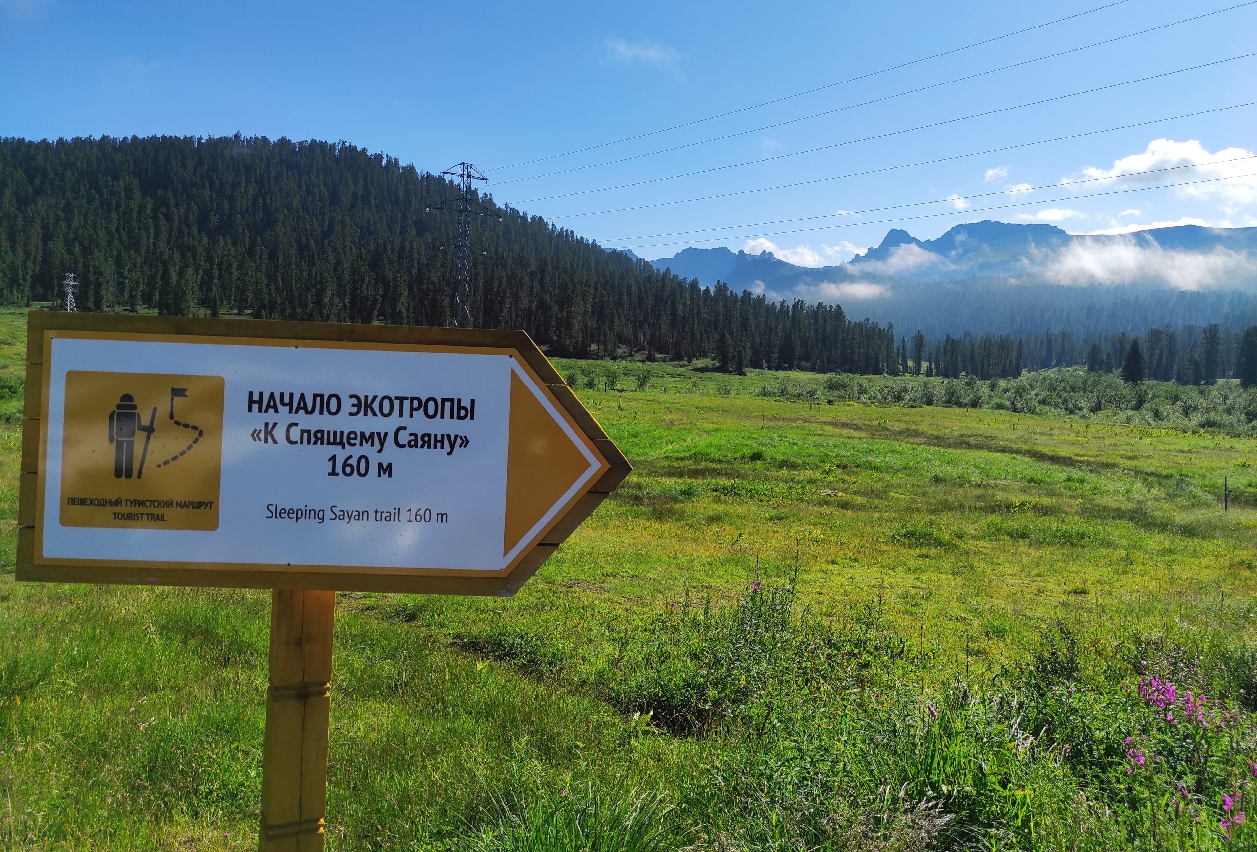 Мониторинг структуры туристического потока в природном парке "Ергаки"