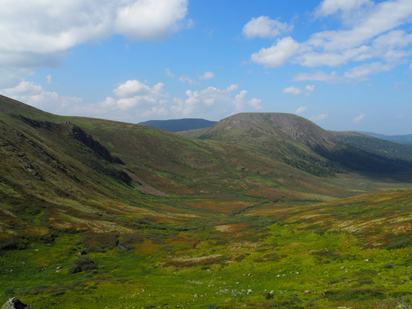 «Краснокнижные» Ергаки