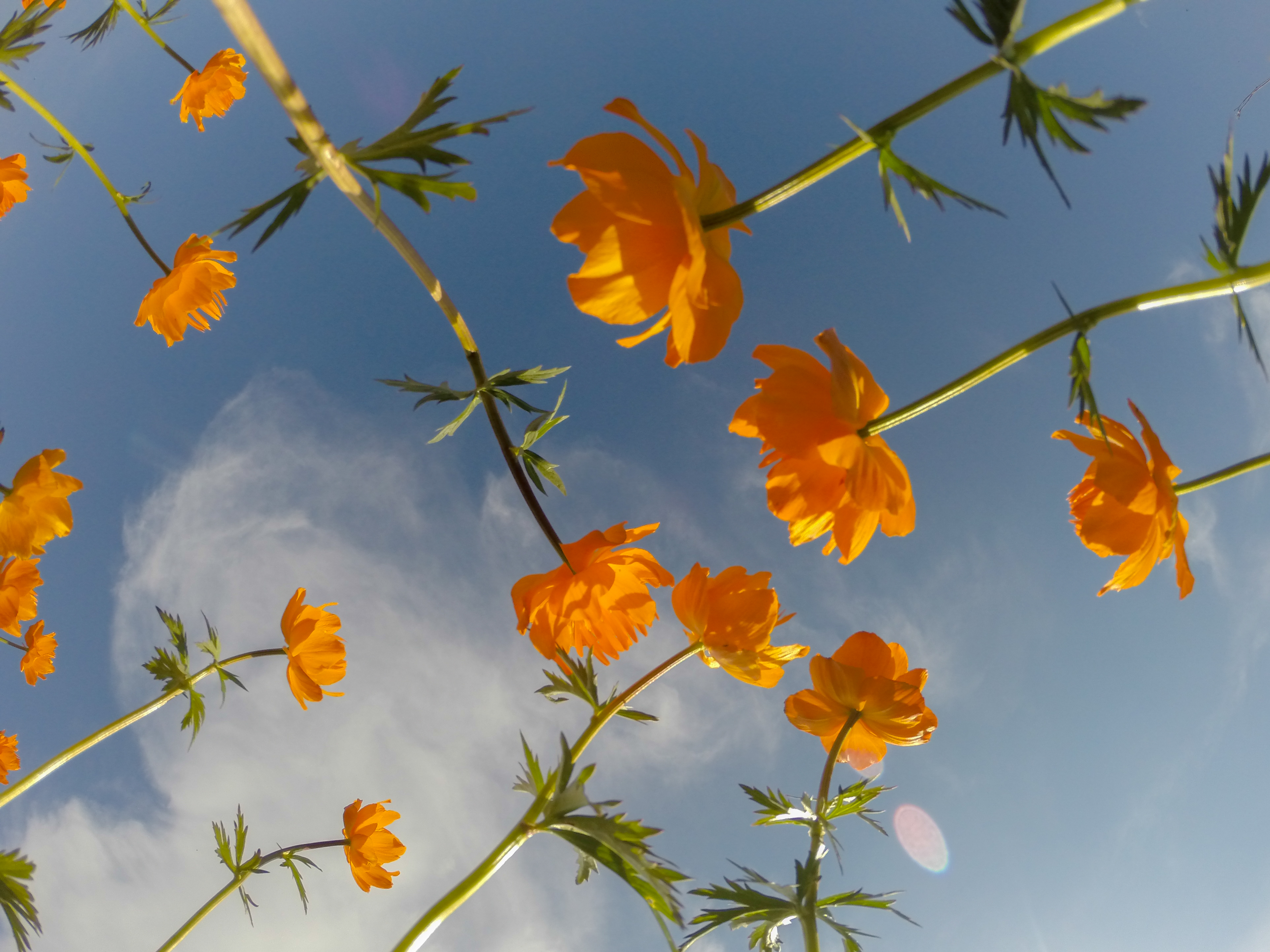 Положение о проведении фотоконкурса  «Ергаки - Любовь моя»