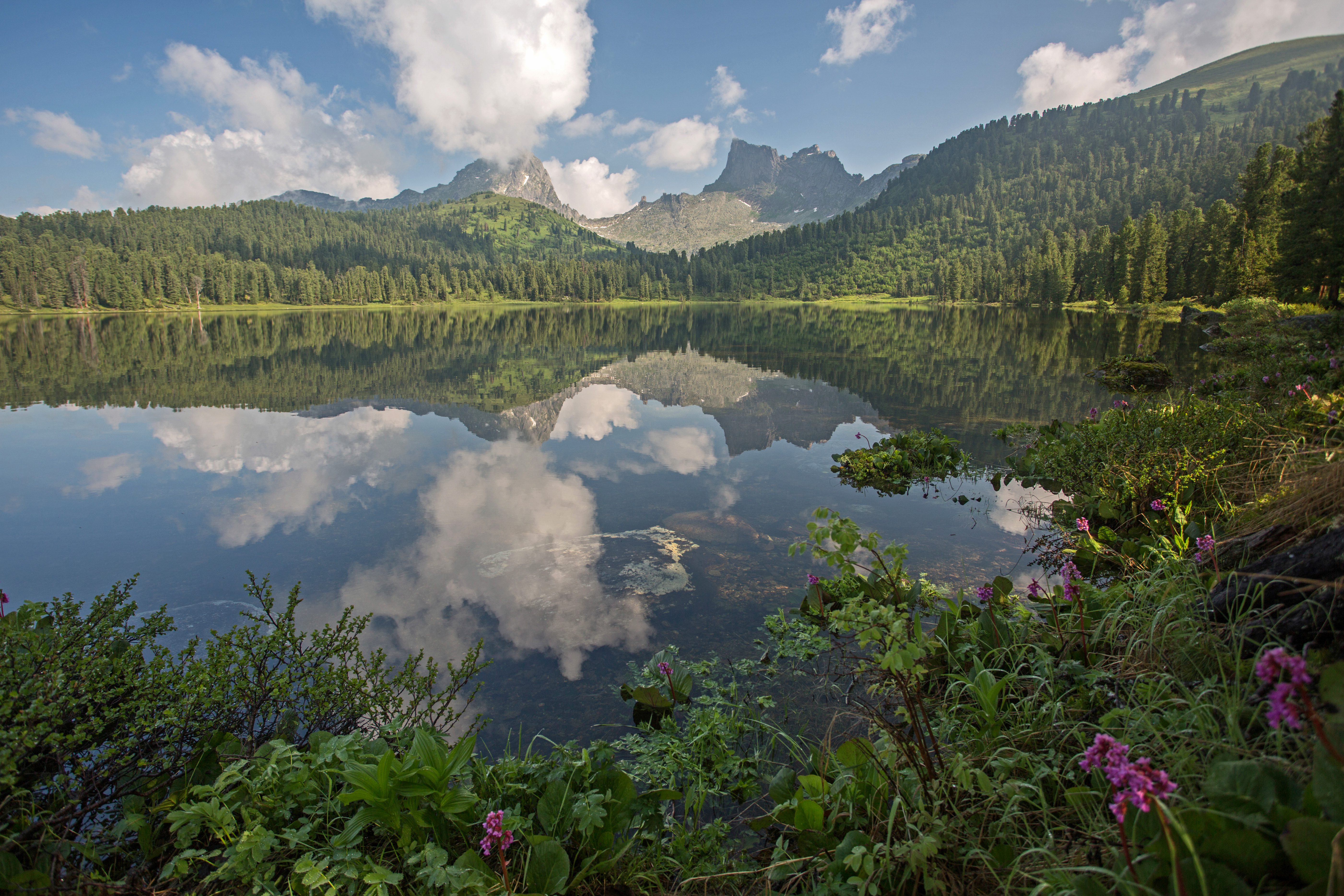 В природный парк «Ергаки» направили дополнительные силы охотинспекторов