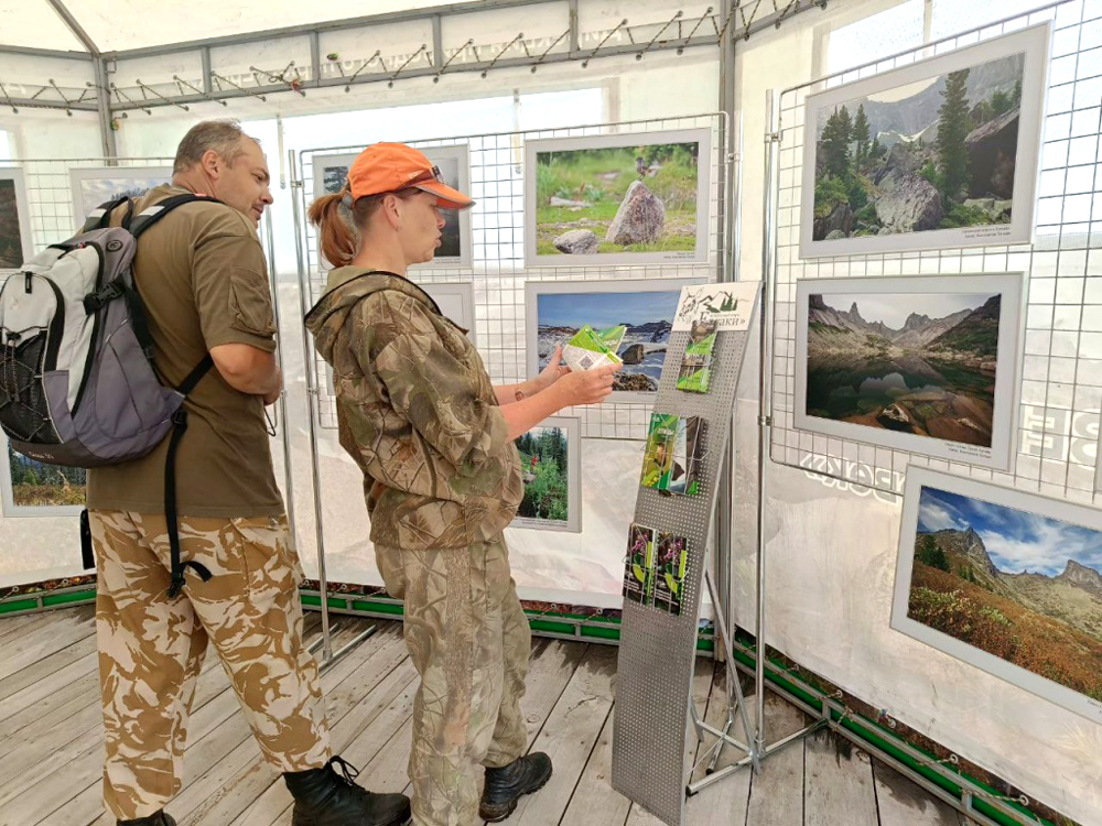 Итоги волонтёрского проекта «Природа и человек»