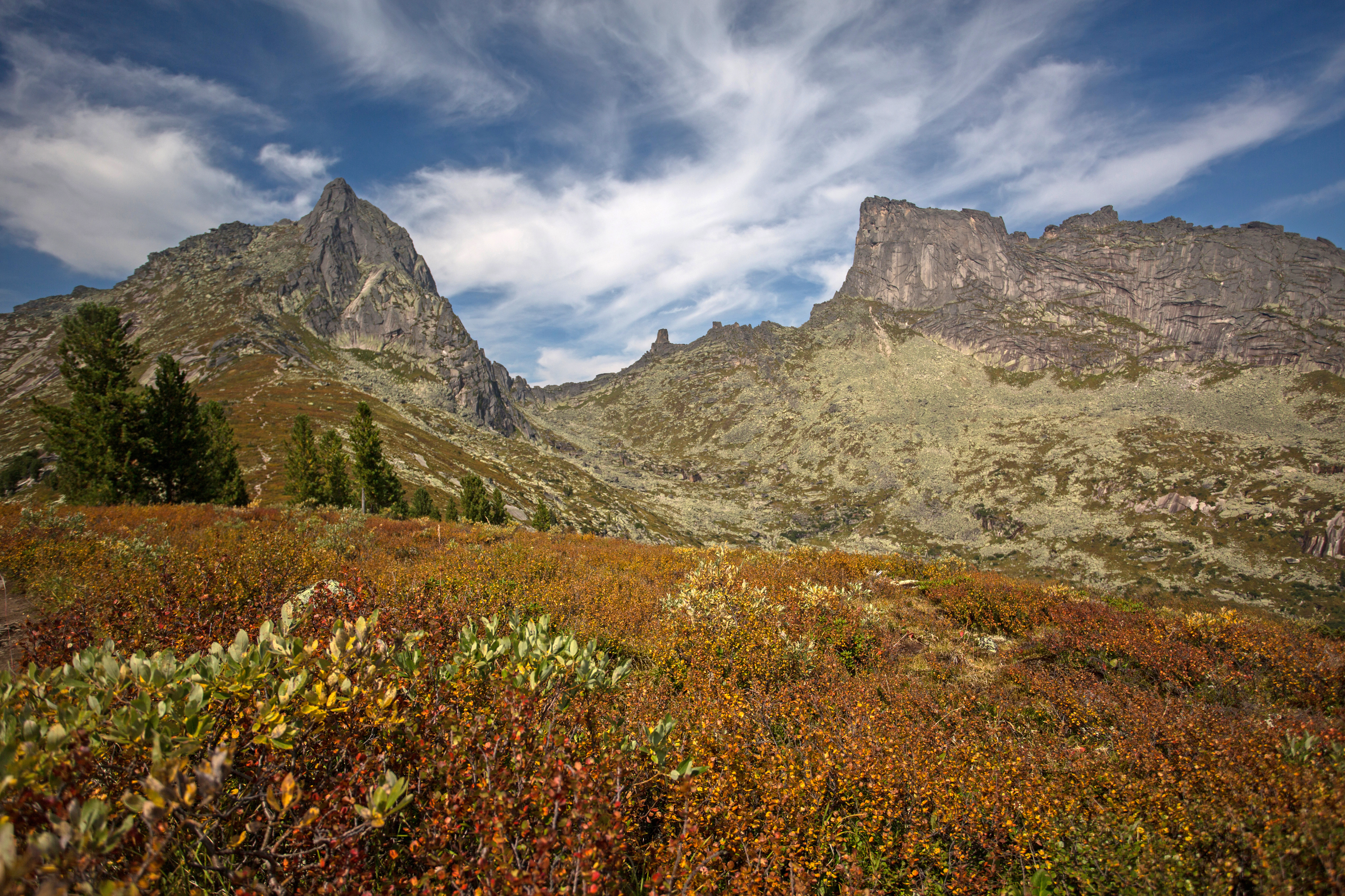 Итоги конкурса «Стихи о родной природе»