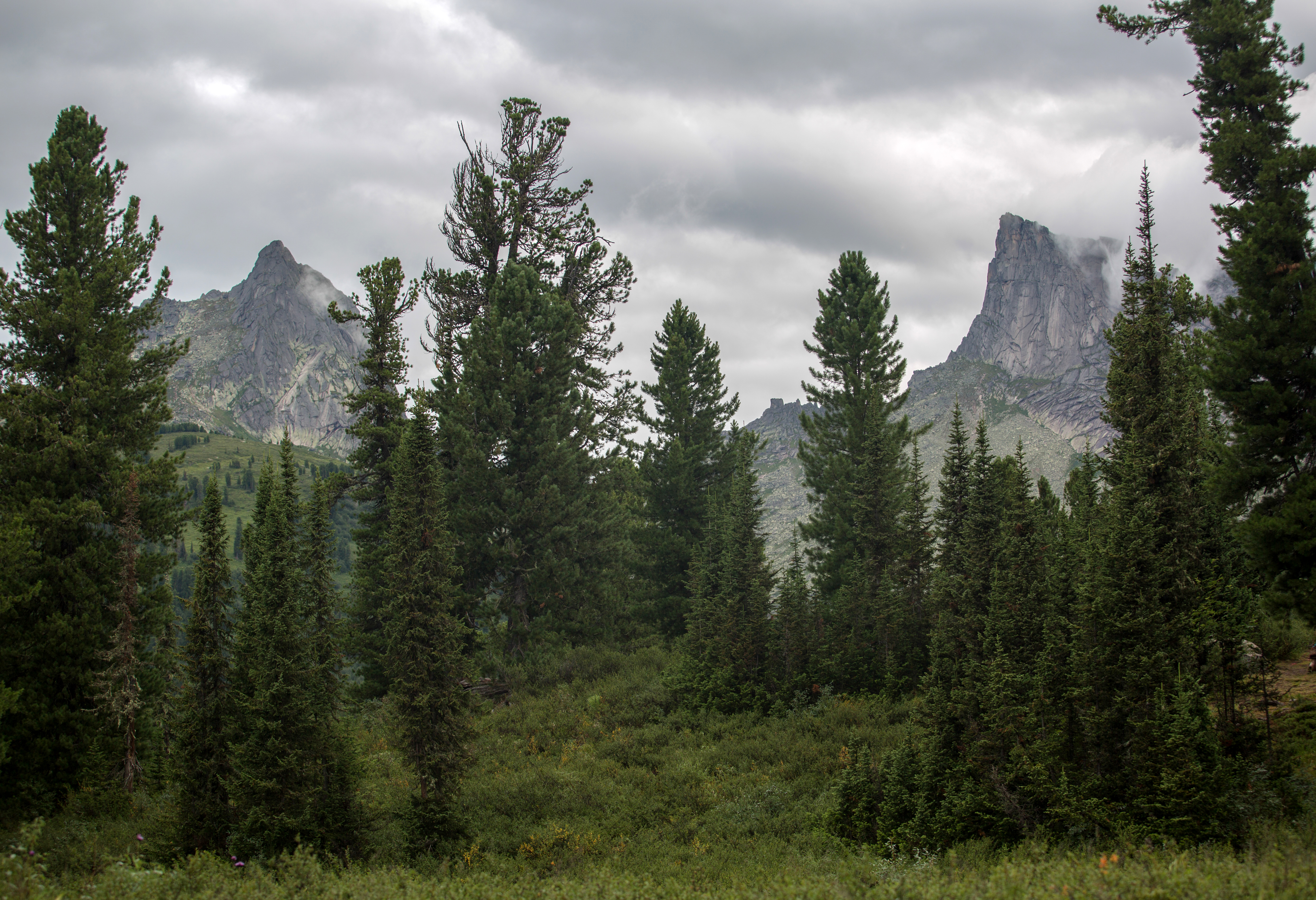 Опыт использования лесов в целях рекреационной деятельности в Красноярском крае на примере природного парка "Ергаки"