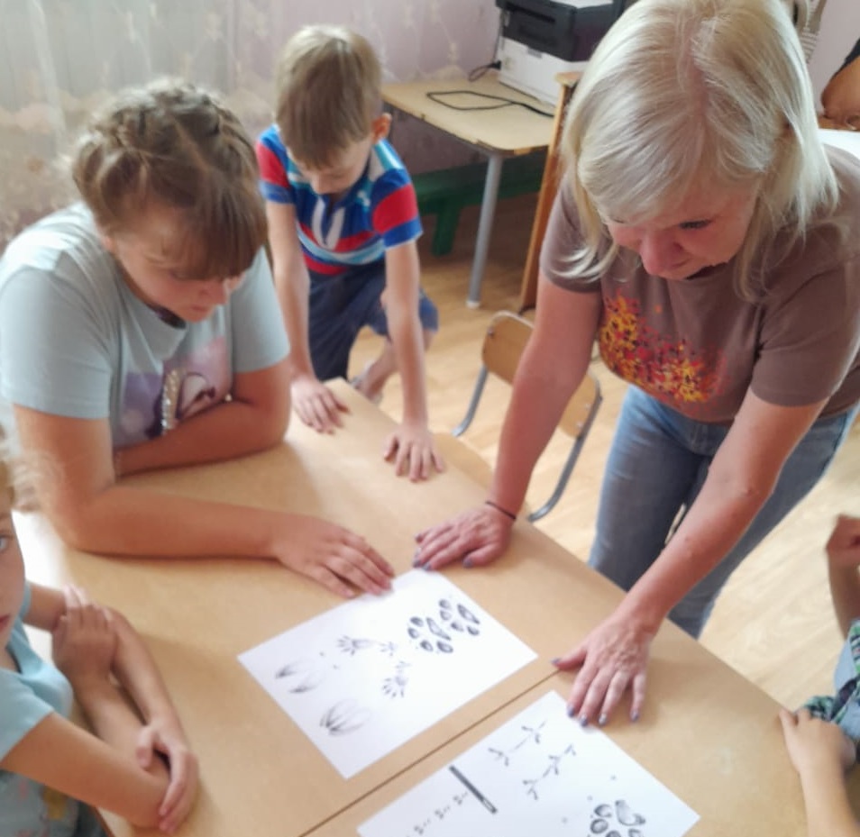 Животные природного парка «Ергаки»