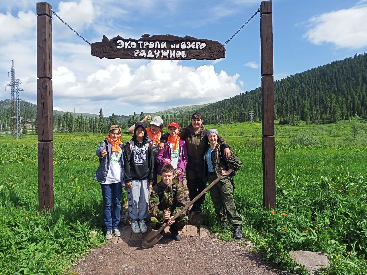 Новые кедры для озера