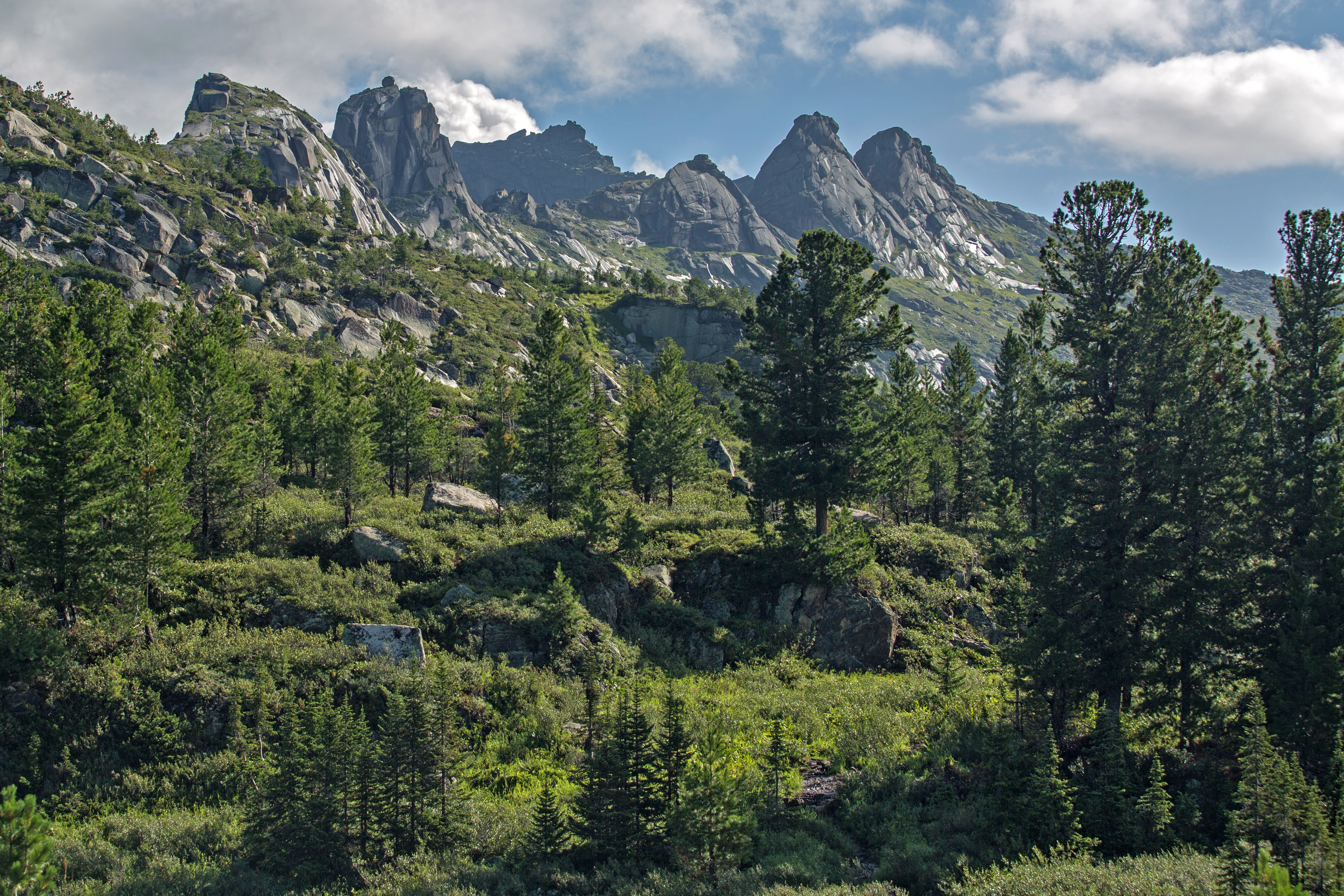 Экологический опрос