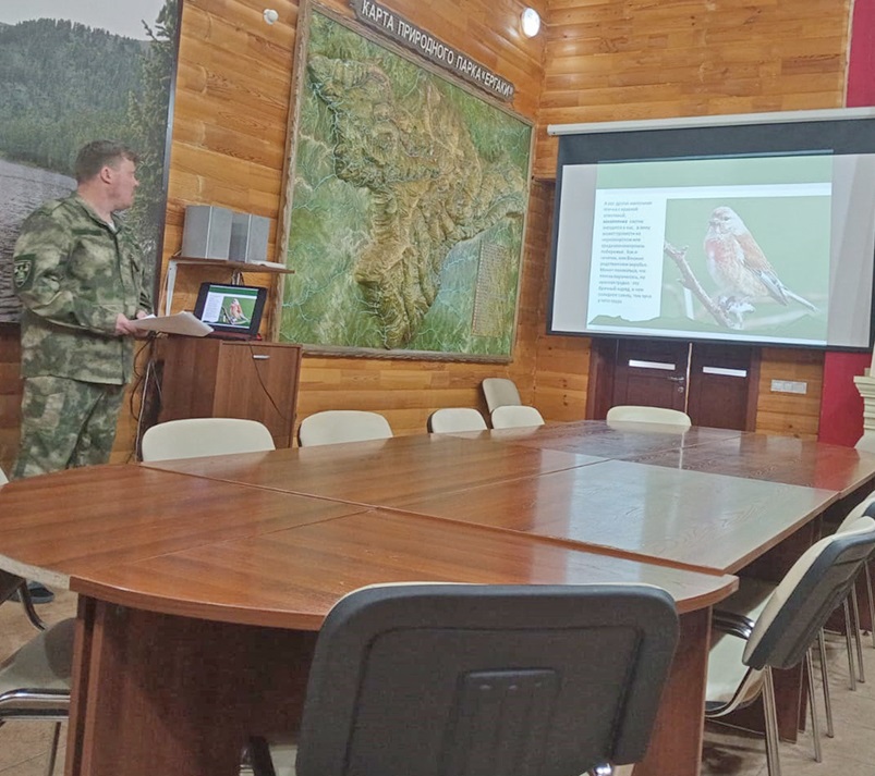 Птицы прилетают - весну на хвосте приносят