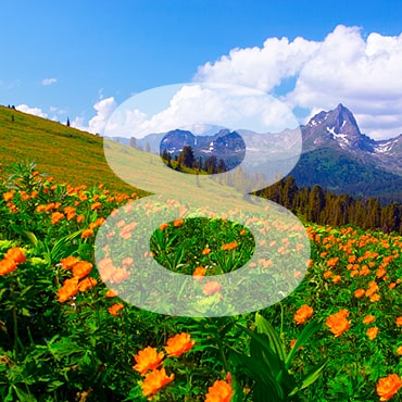 С международным женским днем 8 Марта!