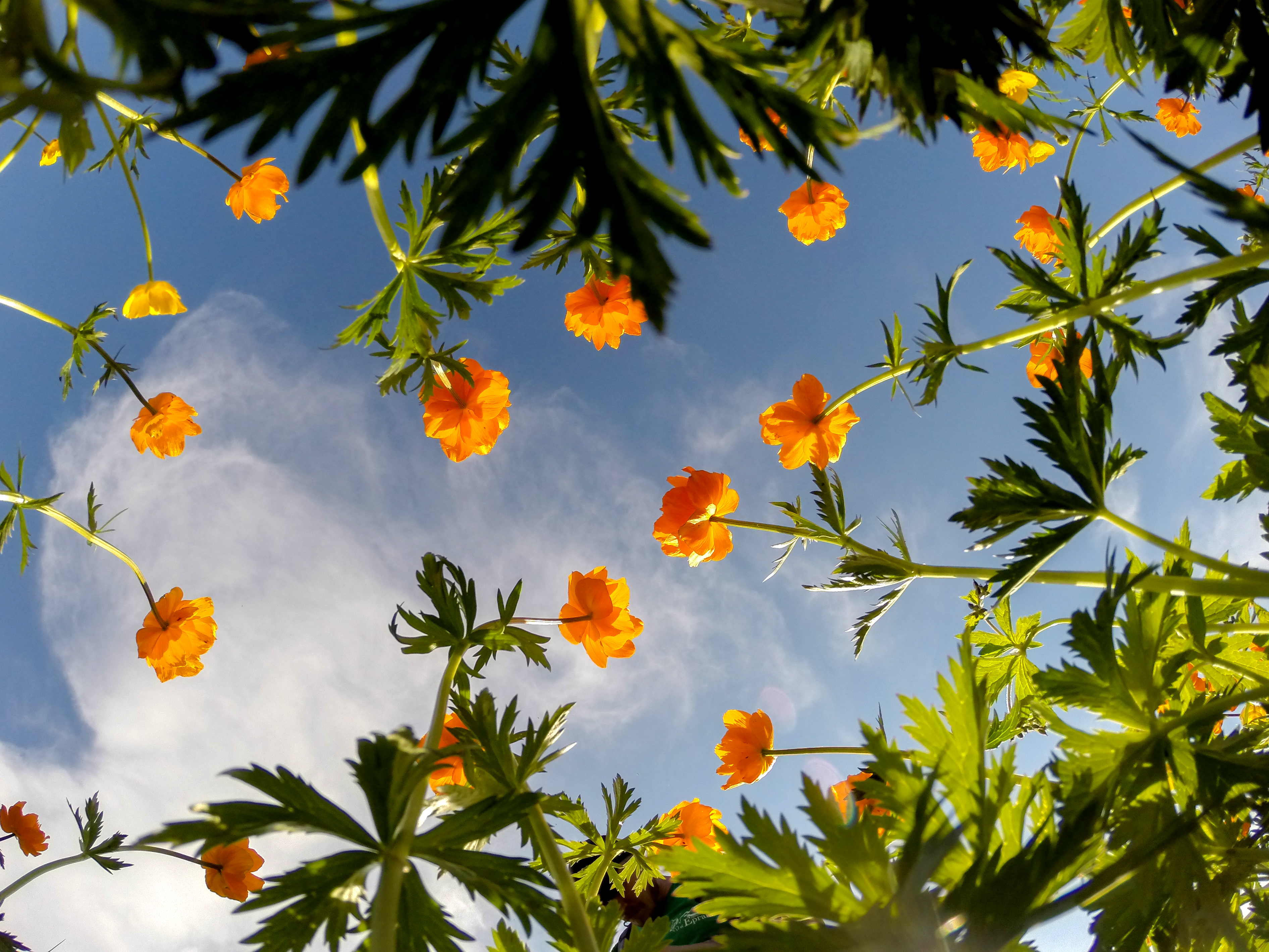 Do Global Indicators of Protected Area Management Effectiveness Make Sense? A Case Study from Siberia 