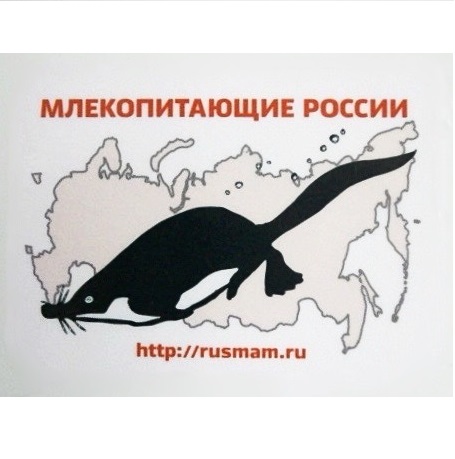 Из наблюдателя – в участника событий