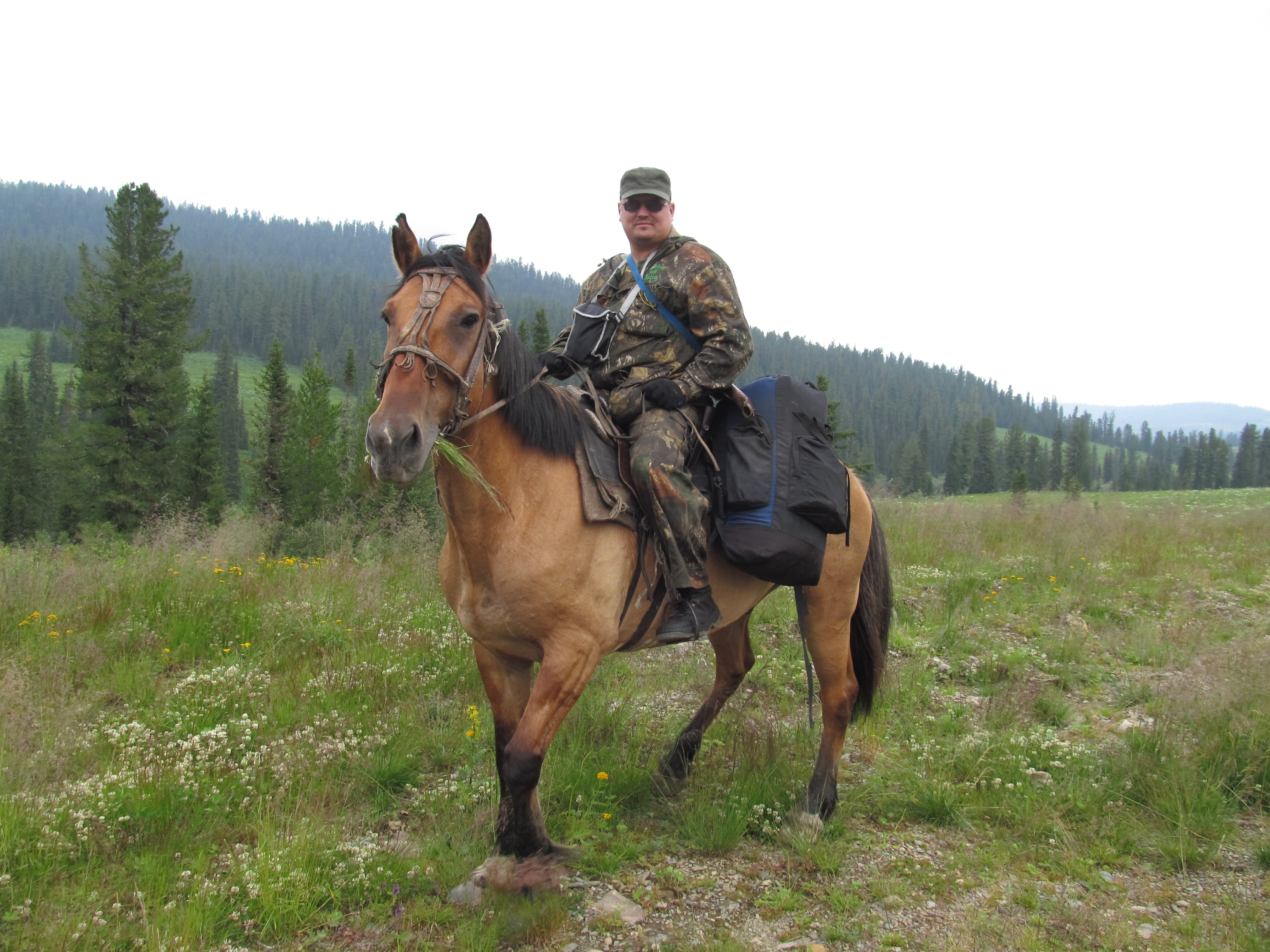 Работник заповедного дела