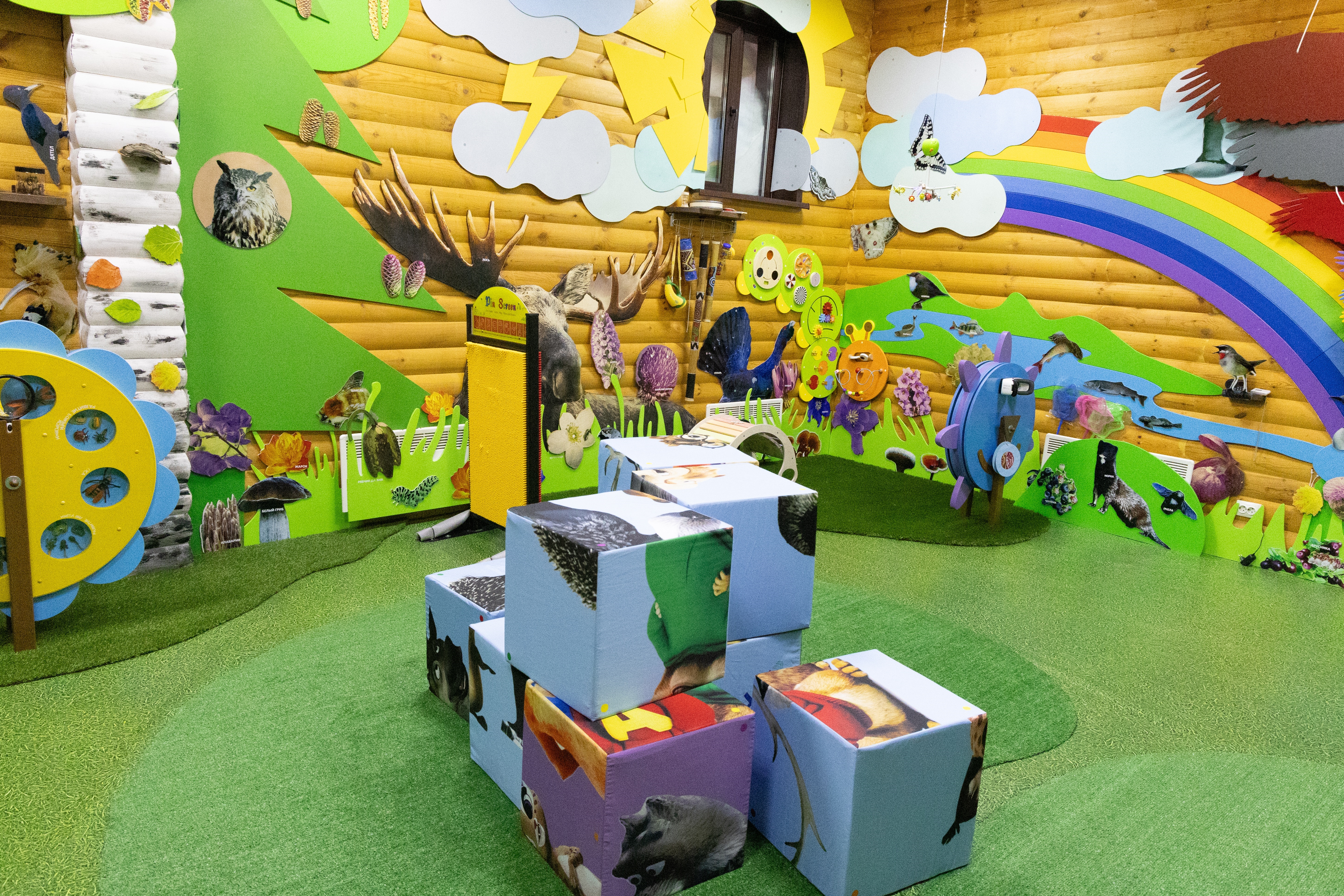  Детский экспозал в визит-центре природного парка «Ергаки» 