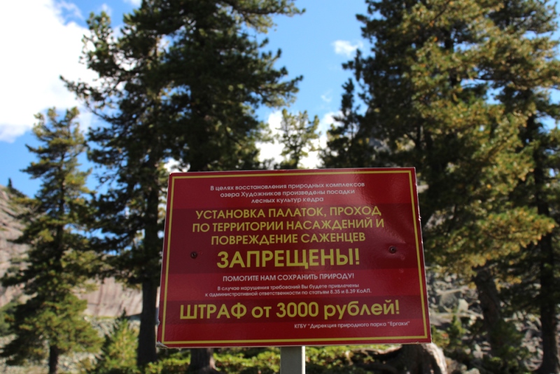 IMG_8963.JPG