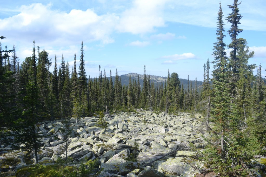 DSC_0834.JPG