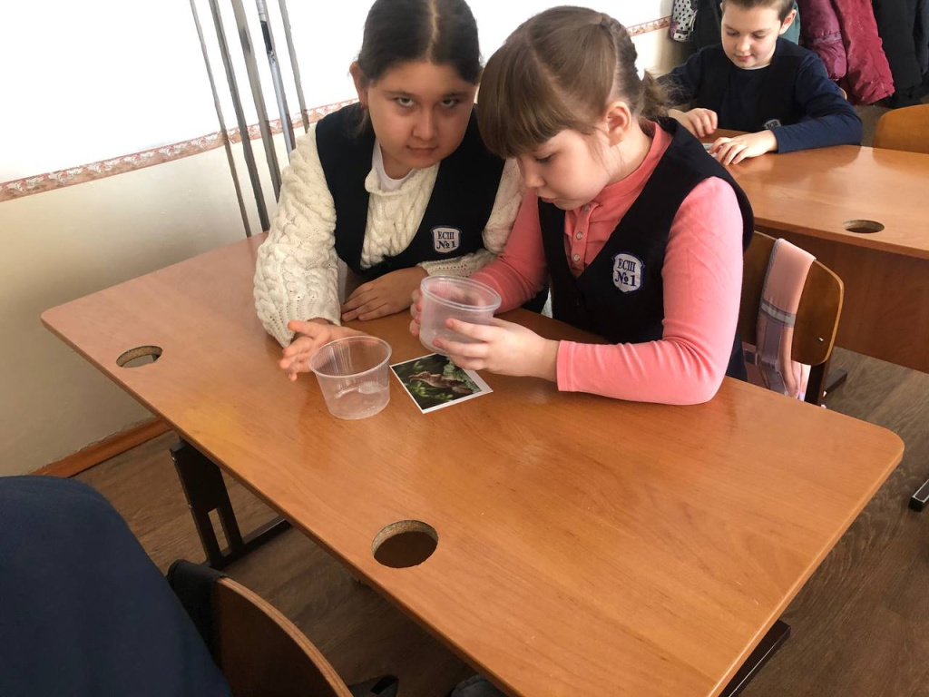 вторая 1d55b086-7997-4ecd-a7ef-f26f6b4d4ec8.jpg