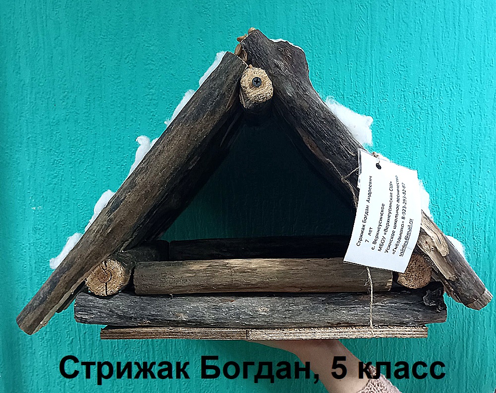 Стрижак Богдан, 5 класс.jpg