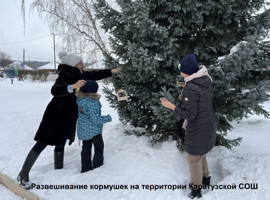 Развешивание кормушек на территории Каратузской СОШ.jpeg