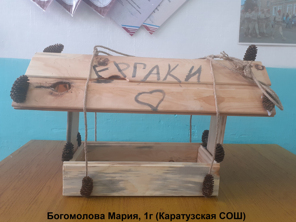 Богомолова Мария, 1г (Каратузская СОШ).jpg