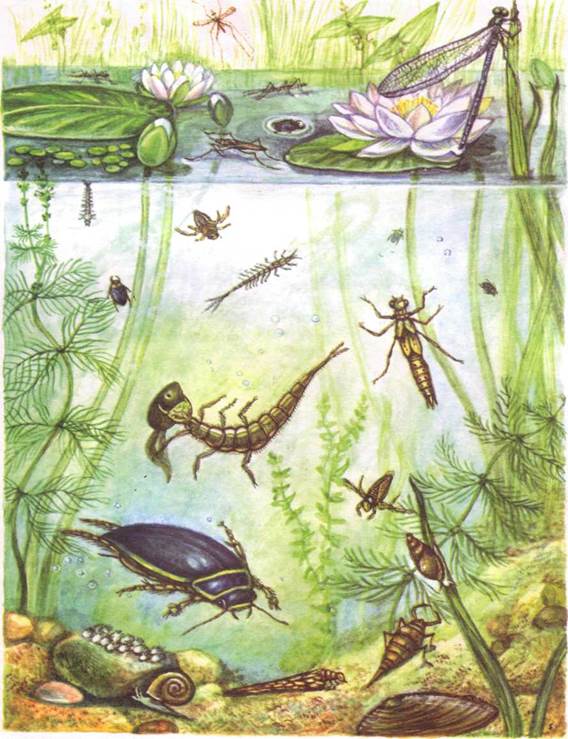 image014.jpg
