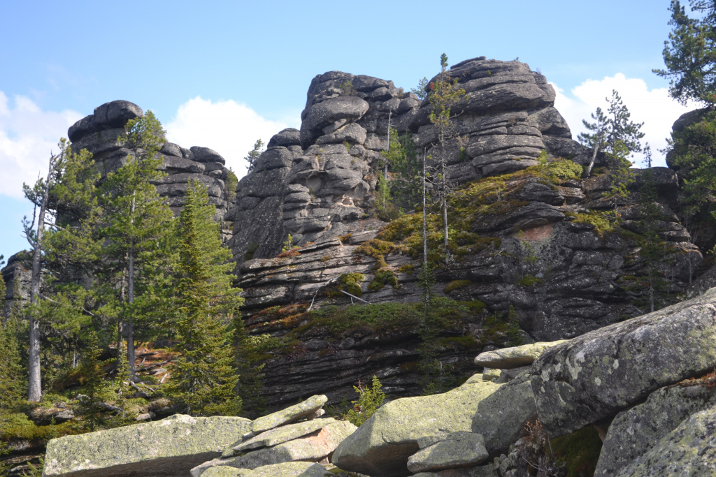 DSC_0831.JPG